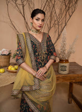 Afsana By HemStitch Embroidered Chiffon 3 Piece Stitched Suit HS24AV2 D-ACV2-04 ILENA